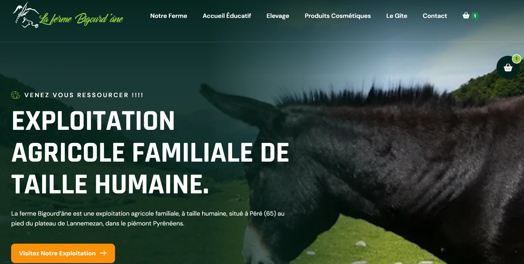 Site public : page d'accueil